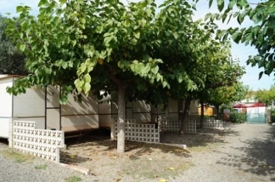 zobacz camping - zdjęcie 14