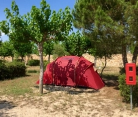 zobacz camping - zdjęcie 10