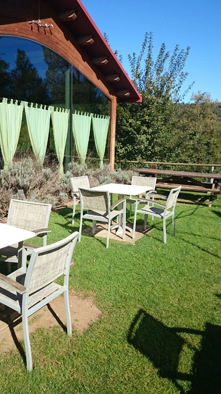 zobacz camping - zdjęcie 10