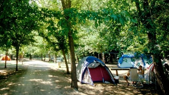 zobacz camping - zdjęcie 19