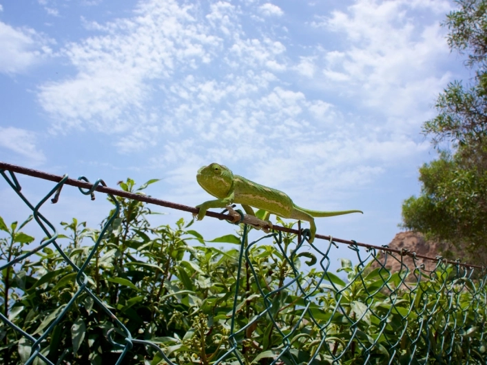 zobacz camping - zdjęcie 11