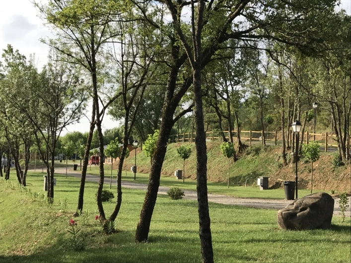 zobacz camping - zdjęcie 23