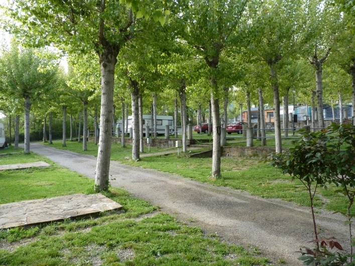 zobacz camping - zdjęcie 17