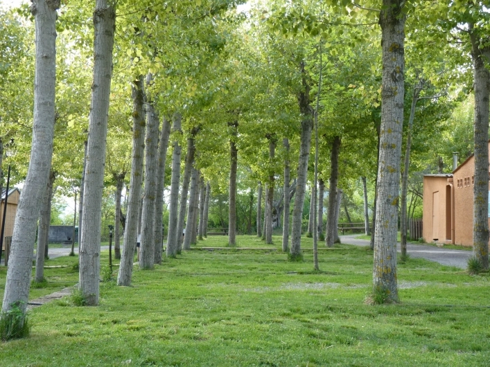 zobacz camping - zdjęcie 16