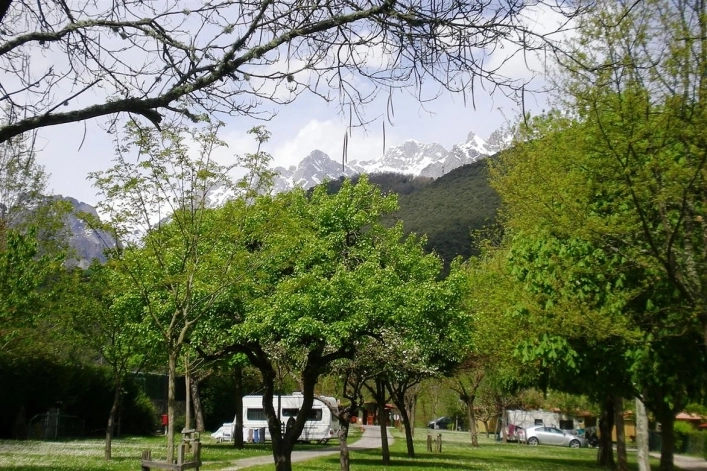 zobacz camping - zdjęcie 9