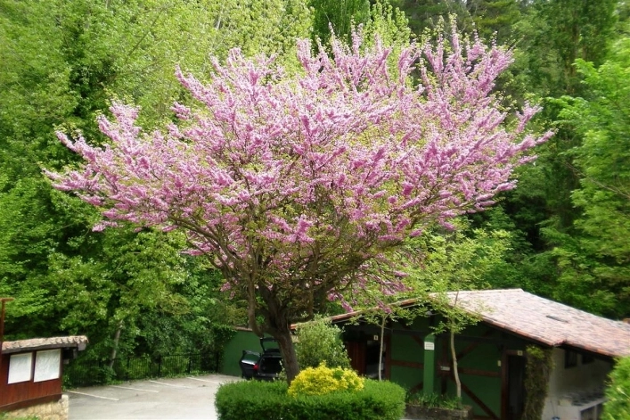 zobacz camping - zdjęcie 6