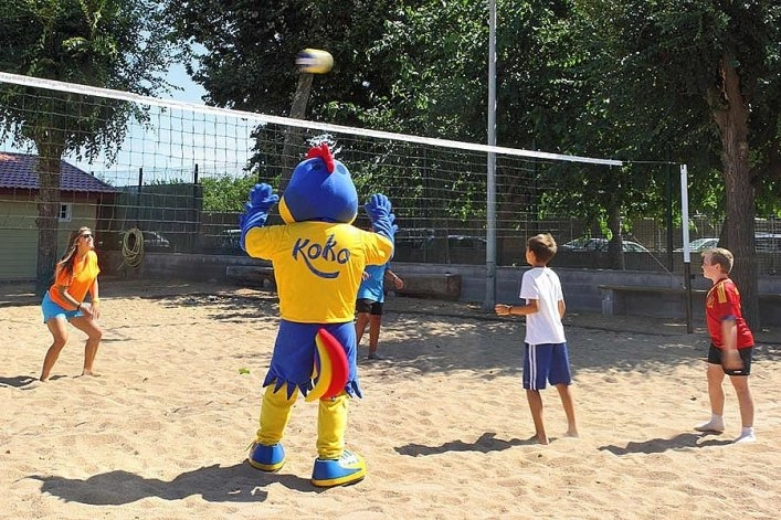 zobacz camping - zdjęcie 21