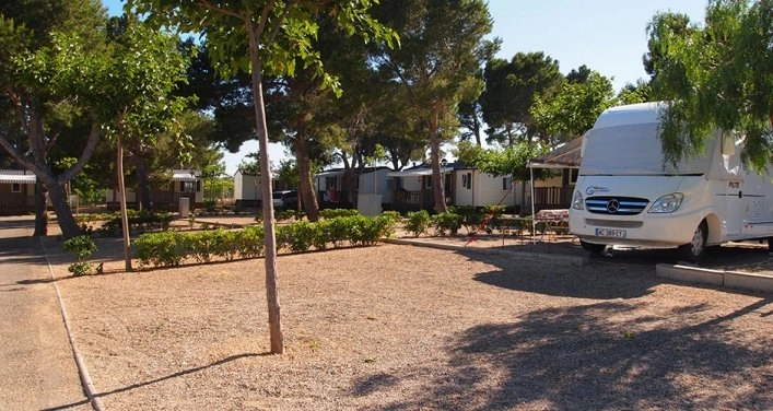 zobacz camping - zdjęcie 9