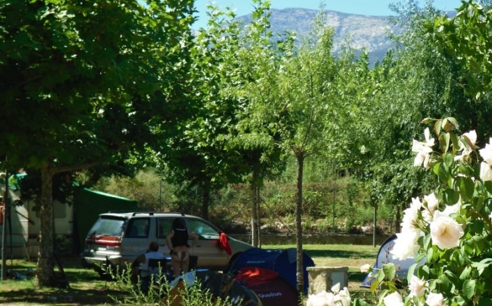 zobacz camping - zdjęcie 31