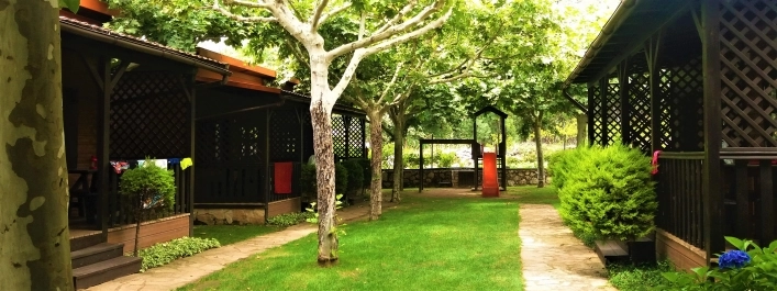 zobacz camping - zdjęcie 24