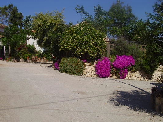 Camping la Pinada - zdjęcie 1