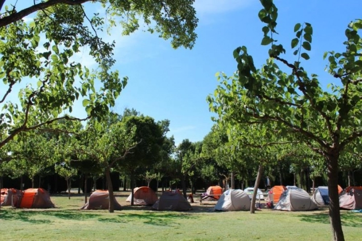 zobacz camping - zdjęcie 25