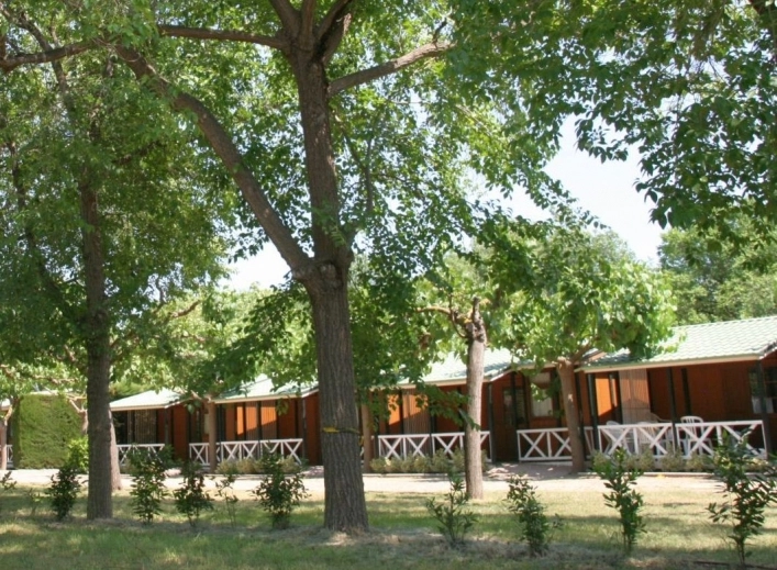 zobacz camping - zdjęcie 14