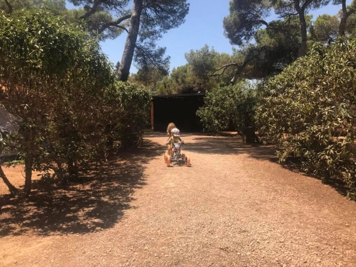 zobacz camping - zdjęcie 12