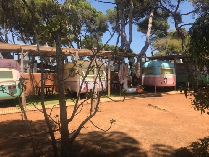 zobacz camping - zdjęcie 7