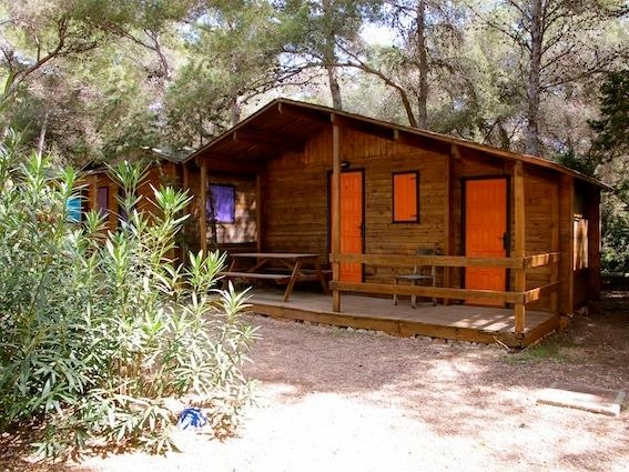 zobacz camping - zdjęcie 5