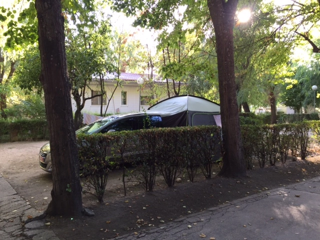 zobacz camping - zdjęcie 16