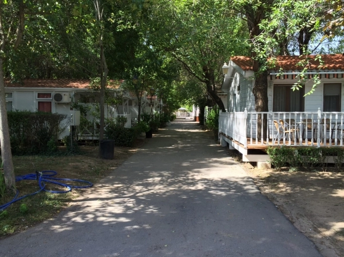 zobacz camping - zdjęcie 2