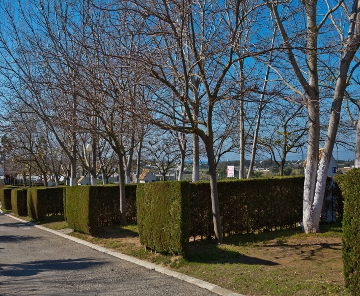 zobacz camping - zdjęcie 25