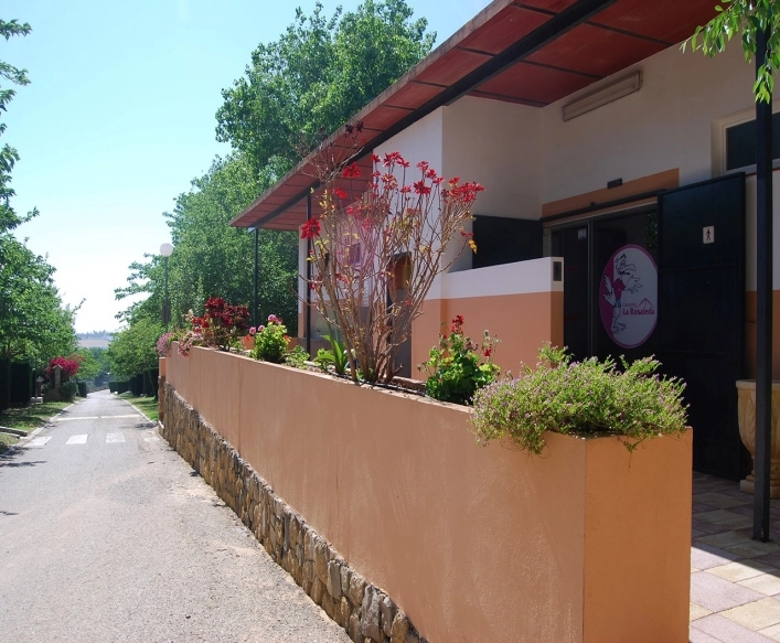 zobacz camping - zdjęcie 13