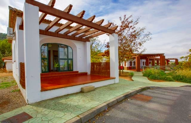 zobacz camping - zdjęcie 6