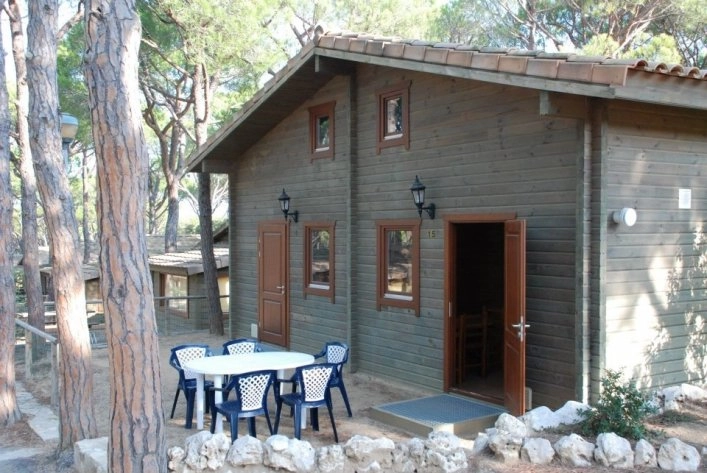 zobacz camping - zdjęcie 11