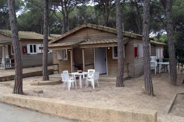 zobacz camping - zdjęcie 2