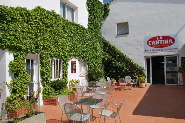 zobacz camping - zdjęcie 10