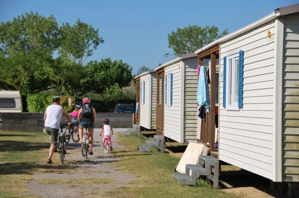 zobacz camping - zdjęcie 8