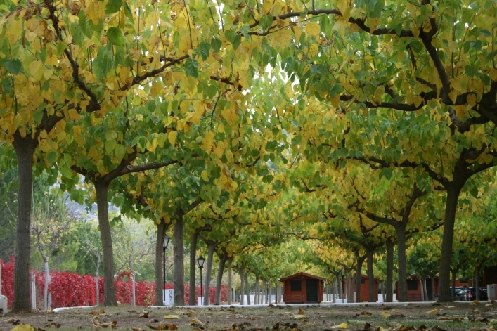 zobacz camping - zdjęcie 12