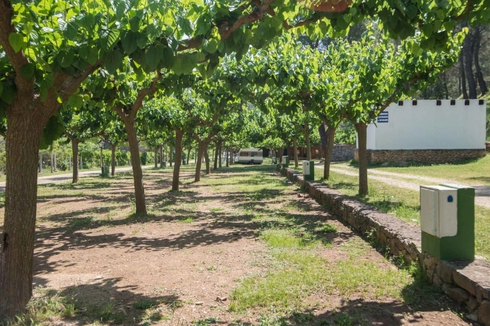 zobacz camping - zdjęcie 11