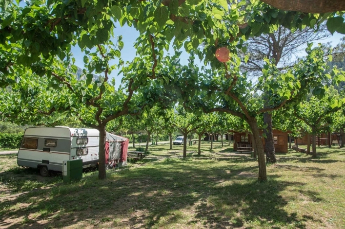 zobacz camping - zdjęcie 9