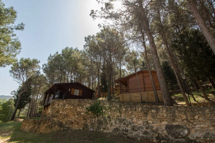 zobacz camping - zdjęcie 8