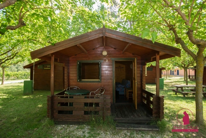 zobacz camping - zdjęcie 6