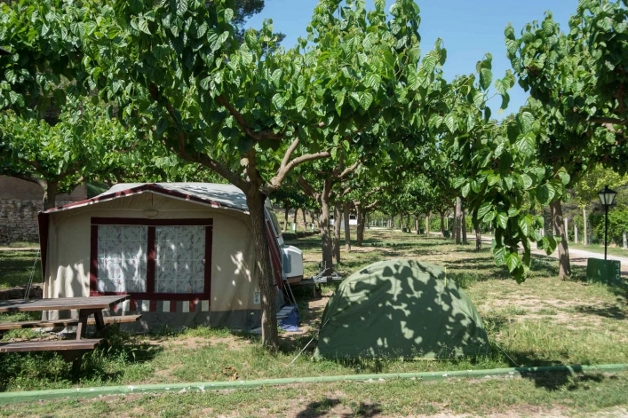 zobacz camping - zdjęcie 4