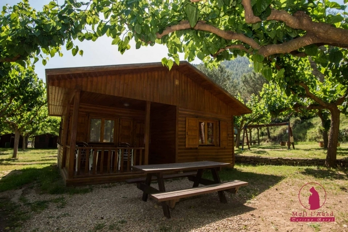 zobacz camping - zdjęcie 2