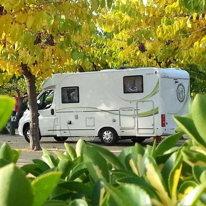 zobacz camping - zdjęcie 3