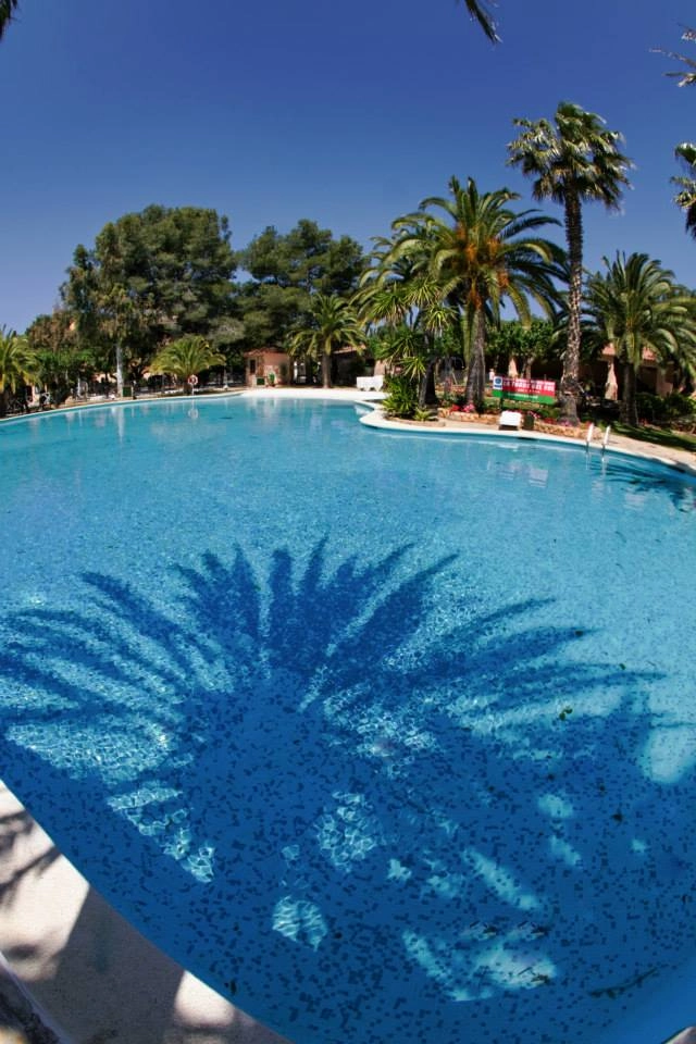 zobacz camping - zdjęcie 19