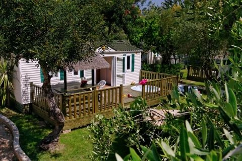 zobacz camping - zdjęcie 16