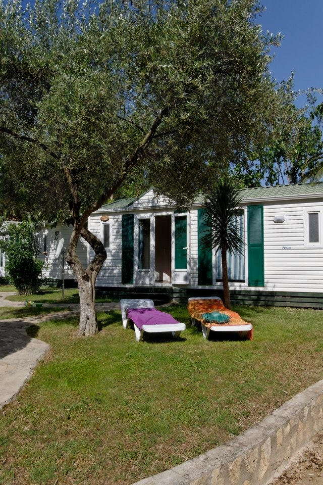 zobacz camping - zdjęcie 12