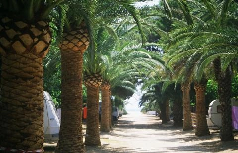 zobacz camping - zdjęcie 8