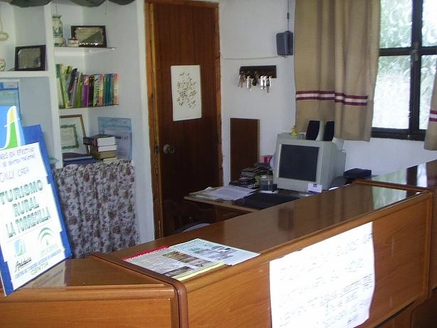 zobacz camping - zdjęcie 15