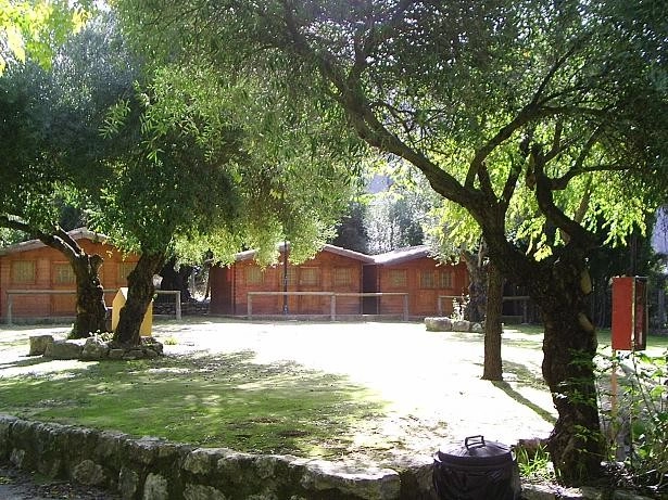 zobacz camping - zdjęcie 11