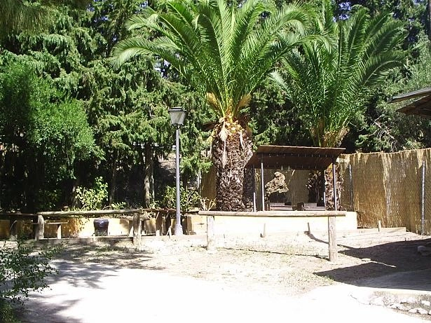 zobacz camping - zdjęcie 8