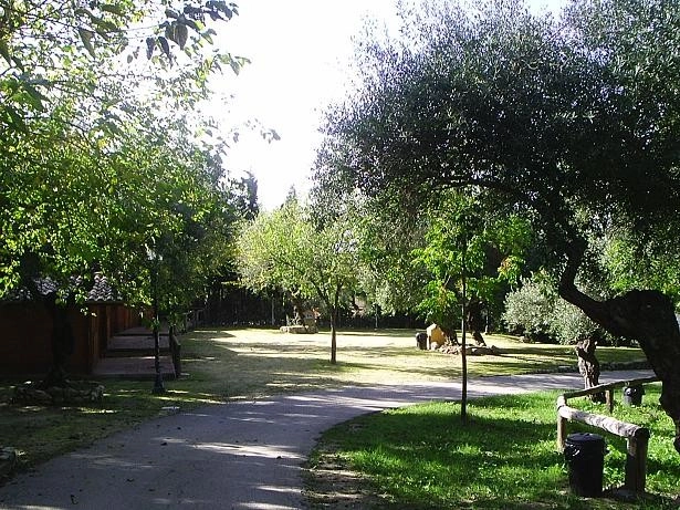 zobacz camping - zdjęcie 4