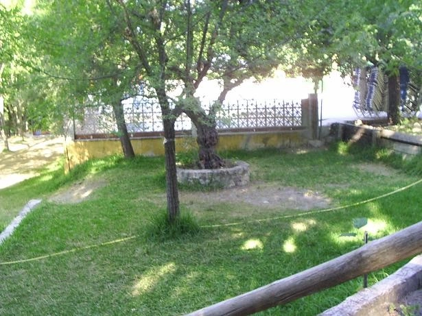 Camping la Torrecilla - zdjęcie 1