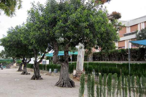 zobacz camping - zdjęcie 9