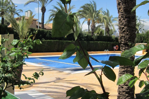 zobacz camping - zdjęcie 8