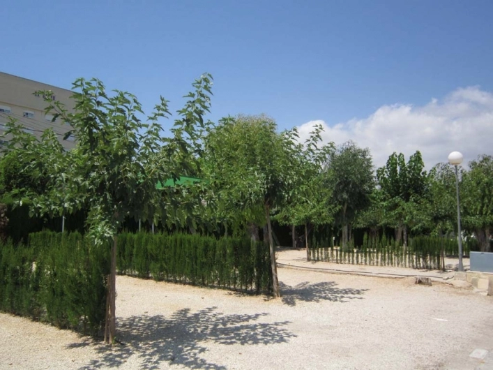 zobacz camping - zdjęcie 6