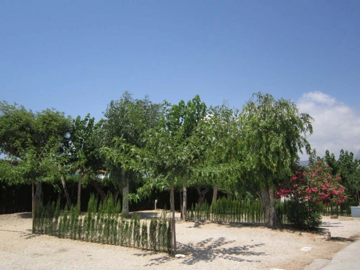 Camping la Torreta - zdjęcie 2